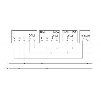 Steinel 088194 - Bewegungssensor mit Präsenzsensor PD-8 ECO DALI-2 360° weiß