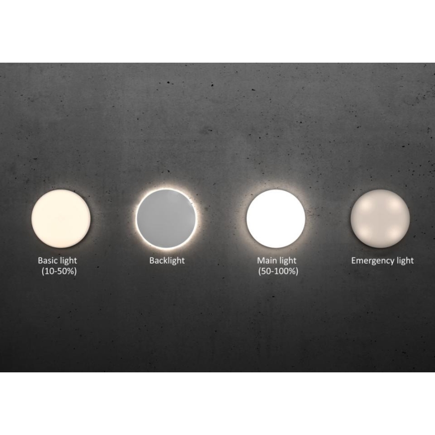 Steinel - Dimmbare LED-Deckenleuchte mit Sensor RSPROR20BASIC 15,3W/230V IP40 3000K