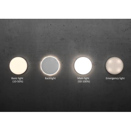 Steinel - Dimmbare LED-Deckenleuchte mit Sensor RSPROR20BASIC 15,3W/230V IP40 4000K