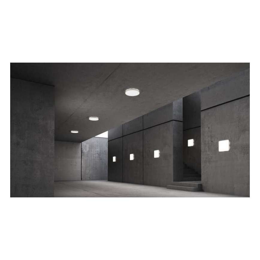 Steinel 067809 - LED Dimmbare Deckenleuchte mit Sensor RS PRO R10 BASIC SC LED/8,5W/230V 4000K IP40