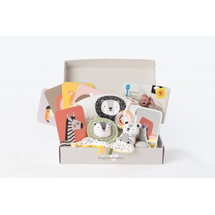 Taf Toys - Geschenkbox HELLO BABY