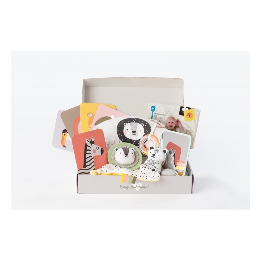 Taf Toys - Geschenkbox HELLO BABY