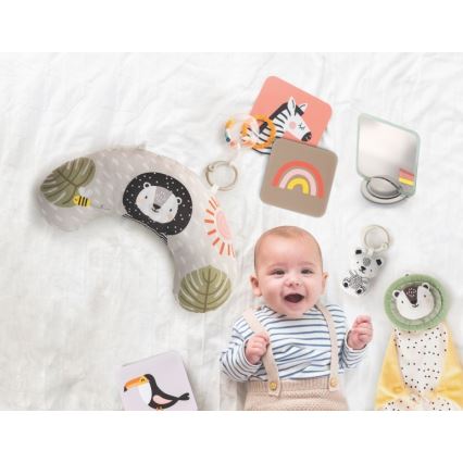 Taf Toys - Geschenkbox HELLO BABY