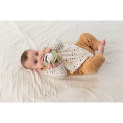 Taf Toys - Geschenkbox HELLO BABY