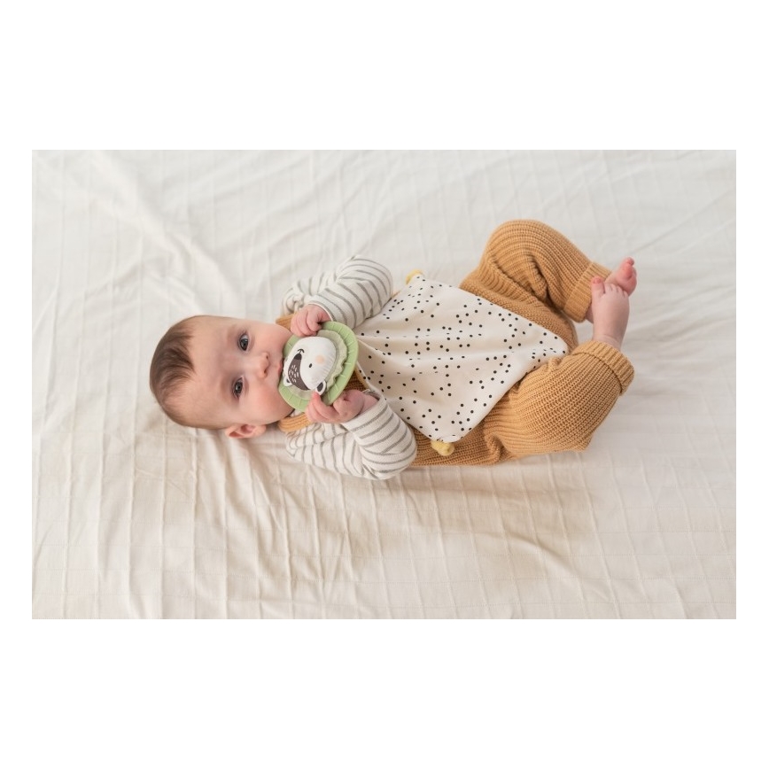 Taf Toys - Geschenkbox HELLO BABY