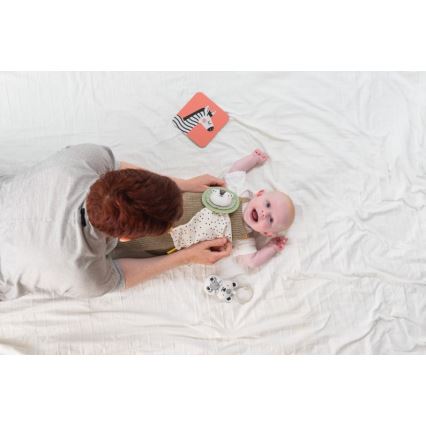 Taf Toys - Geschenkbox HELLO BABY