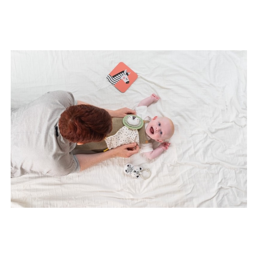 Taf Toys - Geschenkbox HELLO BABY