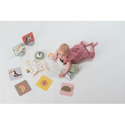 Taf Toys - Geschenkbox HELLO BABY