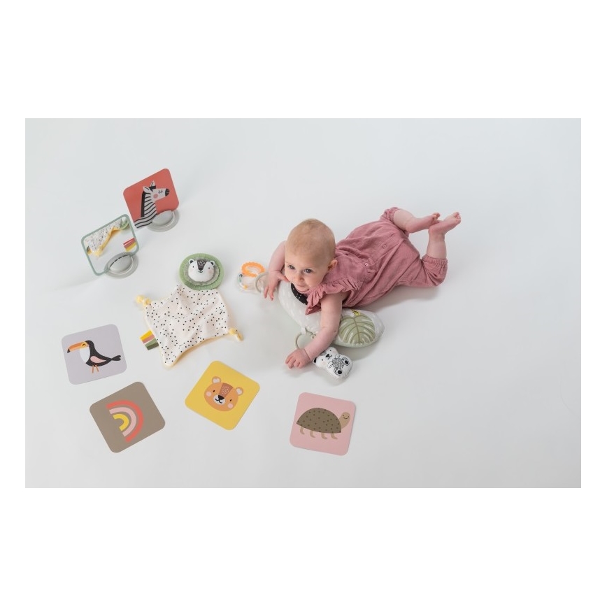Taf Toys - Geschenkbox HELLO BABY