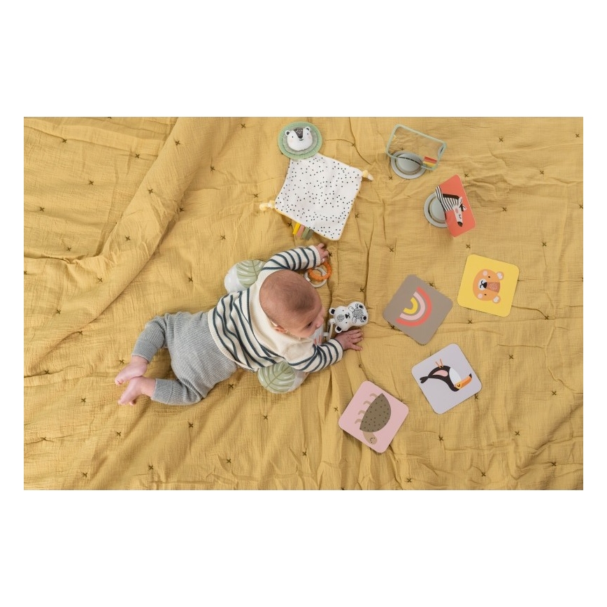 Taf Toys - Geschenkbox HELLO BABY