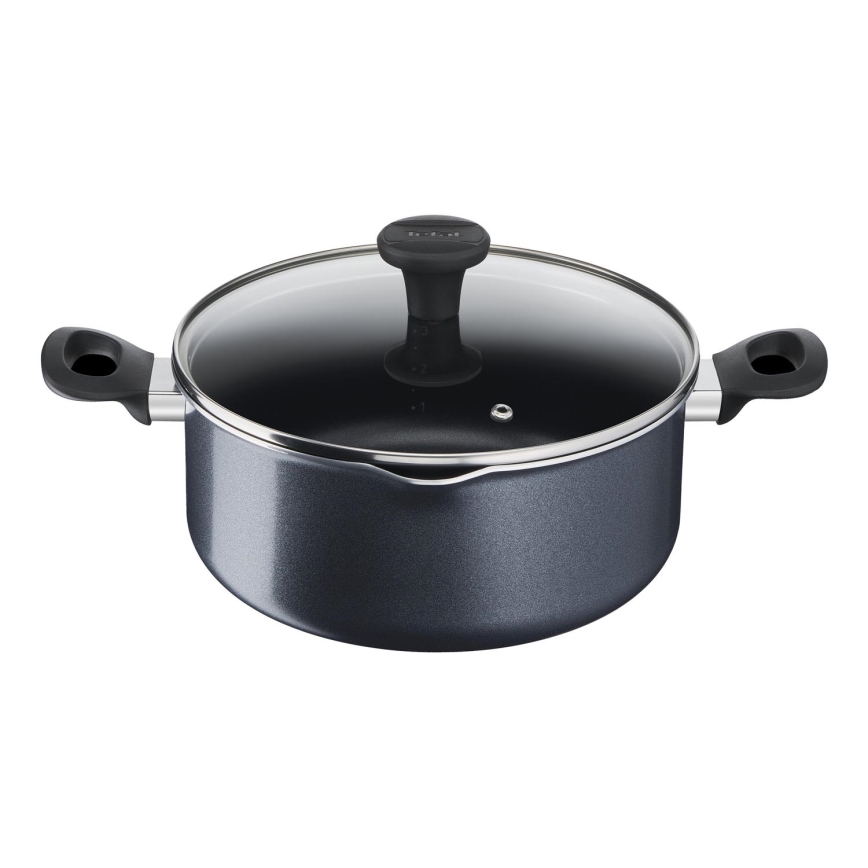 Tefal - Kochtopf mit Deckel FAMILY DAY 24 cm