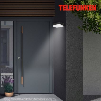 Telefunken 312205TF - LED-Wandleuchte für den Außenbereich LED/14W/230V IP44