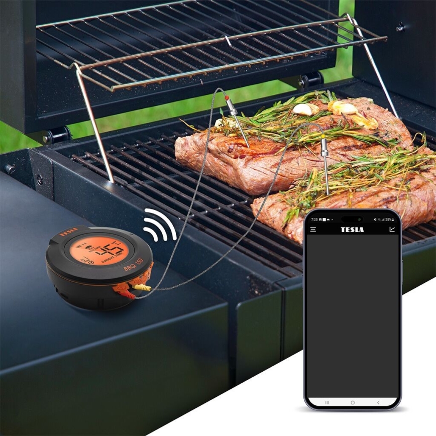 TESLA Electronics Cook - Digitales Fleischthermometer mit Sonde 0-400 °C, 2xAA, IP65
