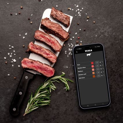 TESLA Electronics Cook - Digitales Fleischthermometer mit Sonde 0-400 °C, 2xAA, IP65