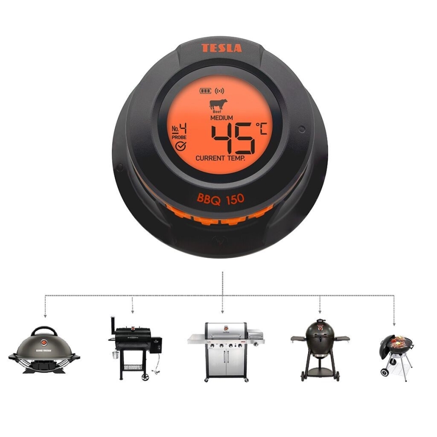 TESLA Electronics Cook - Digitales Fleischthermometer mit Sonde 0-400 °C, 2xAA, IP65