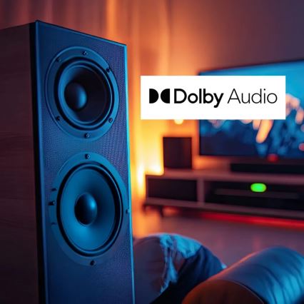 TESLA Electronics MediaBox - UHD Multimedia-Player mit Wi-Fi und Fernbedienung