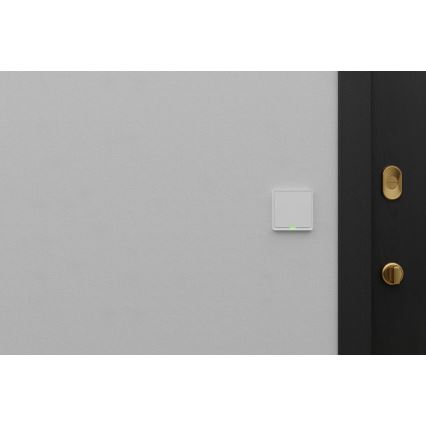 TESLA Smart - Intelligenter Haus-Schalter 1P 230V Wi-Fi