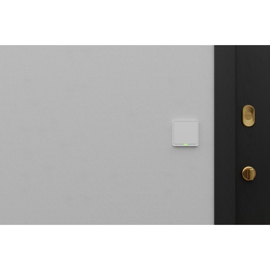 TESLA Smart - Intelligenter Haus-Schalter 1P 230V Wi-Fi