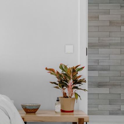 TESLA Smart - Intelligenter Haus-Schalter 1P 230V Wi-Fi