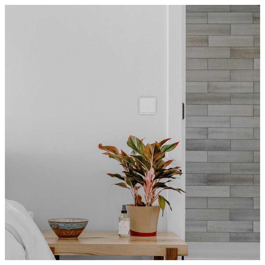 TESLA Smart - Intelligenter Haus-Schalter 1P 230V Wi-Fi