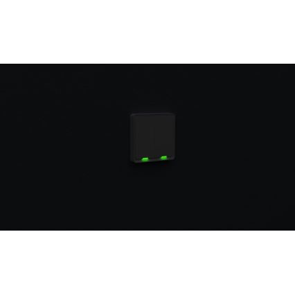 TESLA Smart - Intelligenter Haus-Schalter 2P 230V Wi-Fi