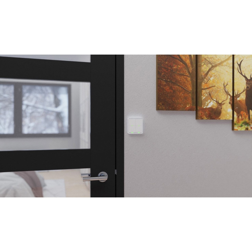 TESLA Smart - Intelligenter kabelloser Haus-Schalter 4P 1xCR2430 ZigBee