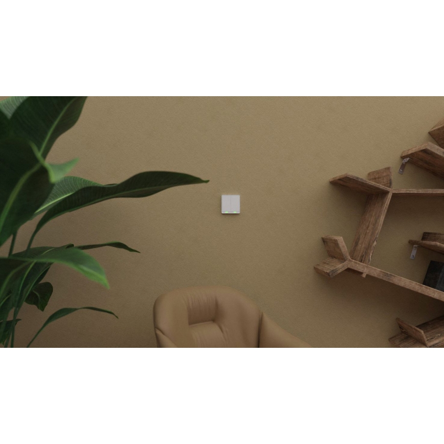 TESLA Smart - Intelligenter kabelloser Haus-Schalter 2P 1xCR2430 ZigBee