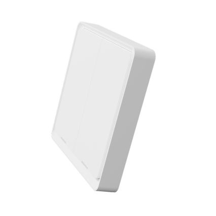 TESLA Smart - Intelligenter kabelloser Haus-Schalter 2P 1xCR2430 ZigBee