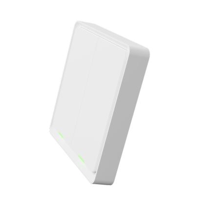 TESLA Smart - Intelligenter kabelloser Haus-Schalter 2P 1xCR2430 ZigBee