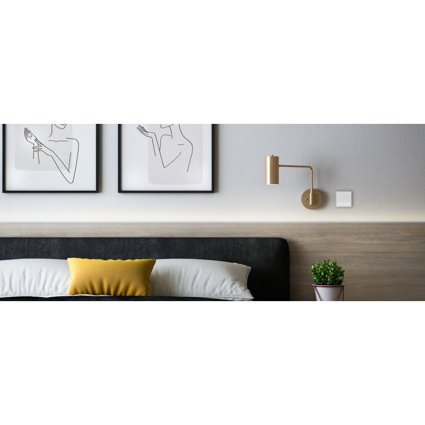 TESLA Smart - Intelligenter kabelloser Haus-Schalter 2P 1xCR2430 ZigBee