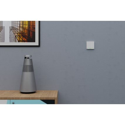 TESLA Smart - Intelligenter kabelloser Haus-Schalter 2P 1xCR2430 ZigBee