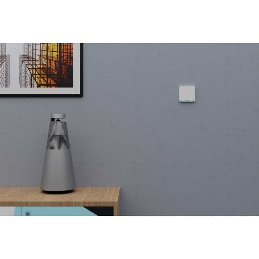 TESLA Smart - Intelligenter kabelloser Haus-Schalter 2P 1xCR2430 ZigBee