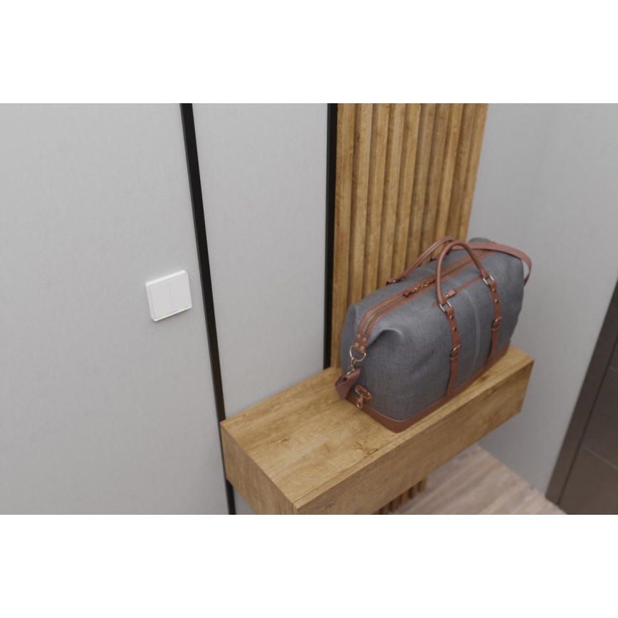 TESLA Smart - Intelligenter kabelloser Haus-Schalter 2P 1xCR2430 ZigBee