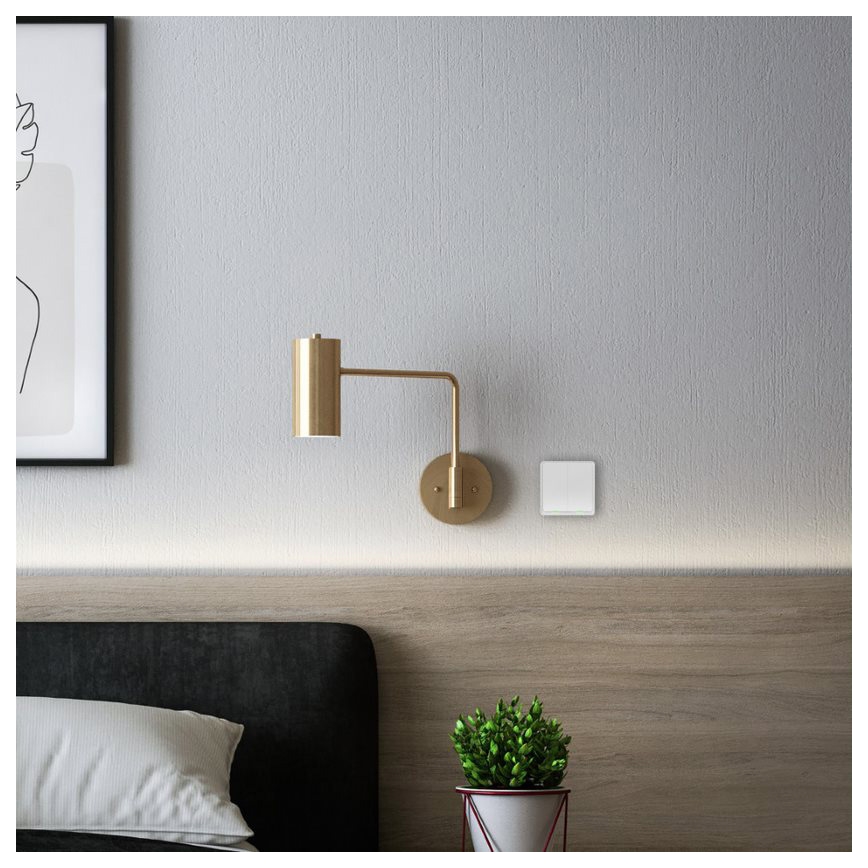 TESLA Smart - Intelligenter kabelloser Haus-Schalter 2P 1xCR2430 ZigBee