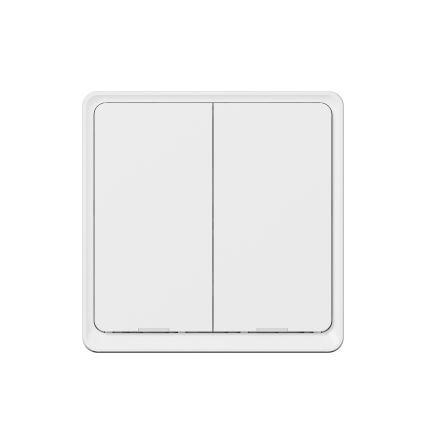 TESLA Smart - Intelligenter kabelloser Haus-Schalter 2P 1xCR2430 ZigBee