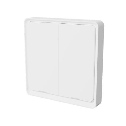 TESLA Smart - Intelligenter kabelloser Haus-Schalter 2P 1xCR2430 ZigBee
