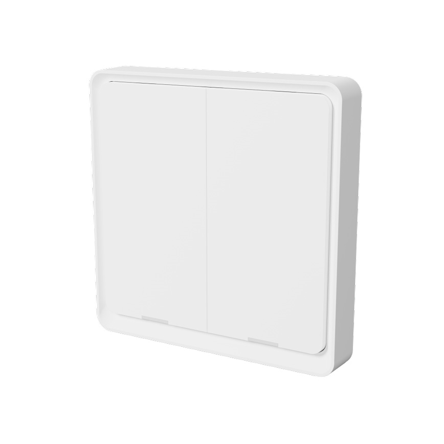 TESLA Smart - Intelligenter kabelloser Haus-Schalter 2P 1xCR2430 ZigBee