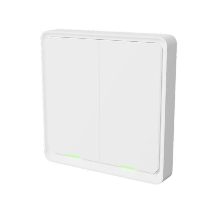 TESLA Smart - Intelligenter kabelloser Haus-Schalter 2P 1xCR2430 ZigBee