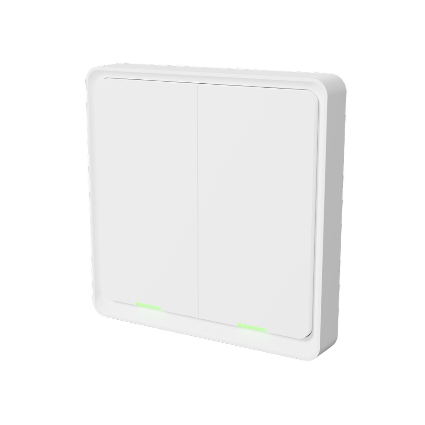 TESLA Smart - Intelligenter kabelloser Haus-Schalter 2P 1xCR2430 ZigBee