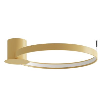 Thoro TH.223 - LED Deckenleuchte RIO LED/30W/230V CRI 98 4000K Ø 55 cm goldfarben