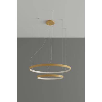 Thoro TH.268 - LED-Hängeleuchte an Seil RIO LED/80W/230V CRI 95 4000K goldfarben