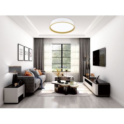 Top Light - Dimmbare LED-Deckenleuchte DEKOR LED/51W/230V d 50 cm 3000-6500K + Fernbedienung