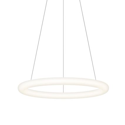 Top Light - LED-dimmbare Pendelleuchte an Seil RINGO LED/40W/230V 3000-6500K weiß + Fernbedienung