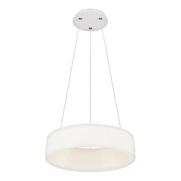 Top Light - LED-dimmbare Pendelleuchte mit Kabelaufhängung HALO LED/40W/230V 3000-6500K Ø 44 cm + Fernbedienung