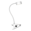 Top Light - LED Dimmbare Touch Tischlampe mit Clip BELLA LED/4,8W/5V 3000-6500K Weiß