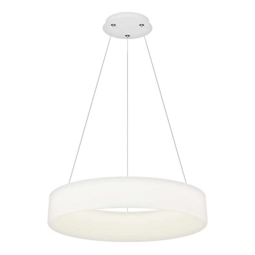 Top Light - LED dimmbarer Hängeleuchte HALO LED/60W/230V 3000-6500K Ø 60 cm + Fernbedienung