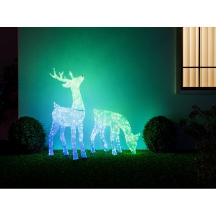 Twinkly - Dimmbares Outdoor-Weihnachtsrentier LED RGBW REINGEERS 240xLED IP44 Wi-Fi