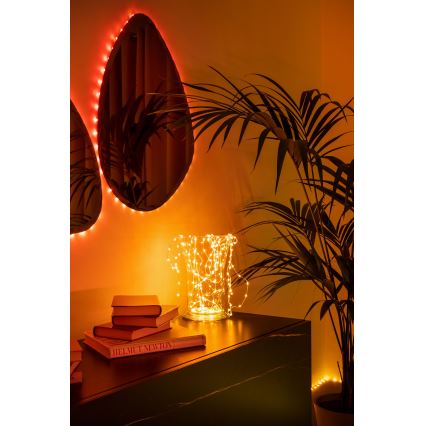 Twinkly - LED RGB Dimmbarer Weihnachtslichterkette DOTS 60xLED 7 m USB Wi-Fi