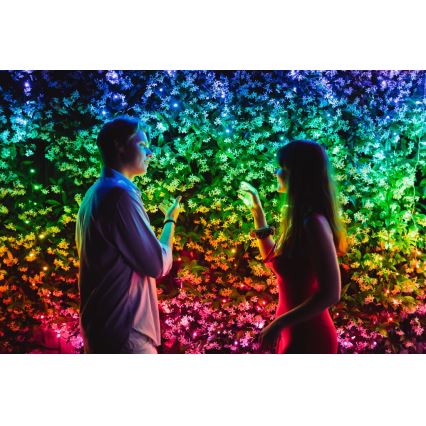 Twinkly - LED RGB dimmbare Außen-Weihnachtslichterkette STRINGS 600xLED 51,5m IP44 Wi-Fi