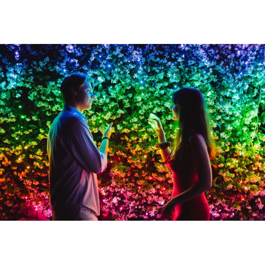 Twinkly - LED RGB dimmbare Außen-Weihnachtslichterkette STRINGS 600xLED 51,5m IP44 Wi-Fi